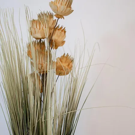 Charming Navarrosse House * Biscarrosse